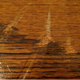 Illustration for article titled Refinish Your Hardwood Floors In 5 Stepsem/em